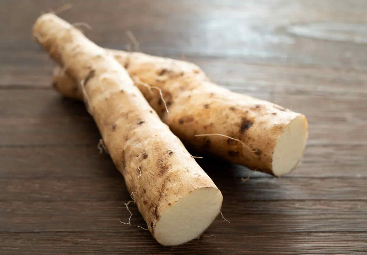 Wild Yam The Strength of a Woman WishGarden Herbs