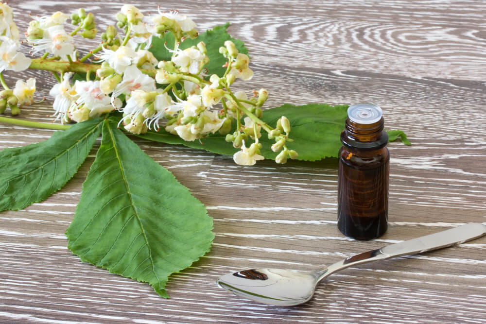 3 Ways Essential Oils Differ from Herbal Tinctures – WishGarden Herbs