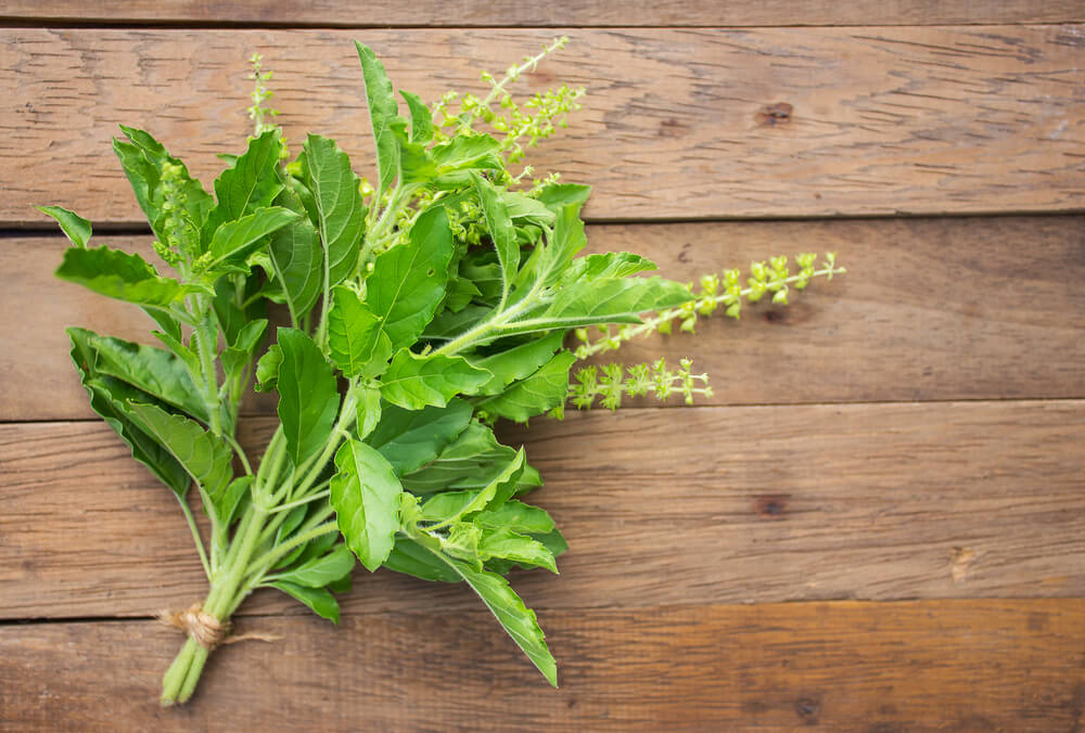 The Role Of Herbs In Balancing Women s Hormones WishGarden Herbs