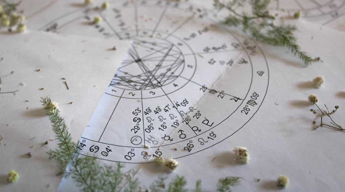 Fire Signs: Zodiac Signs and their Herbal Match – WishGarden Herbs