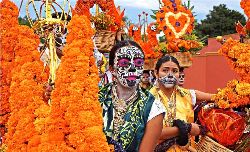 The Botanical Connection in Día de Los Muertos – WishGarden Herbs