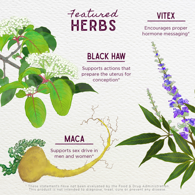 Fertility Prep - Women's Herbal Conception Support | WishGarden Herbs